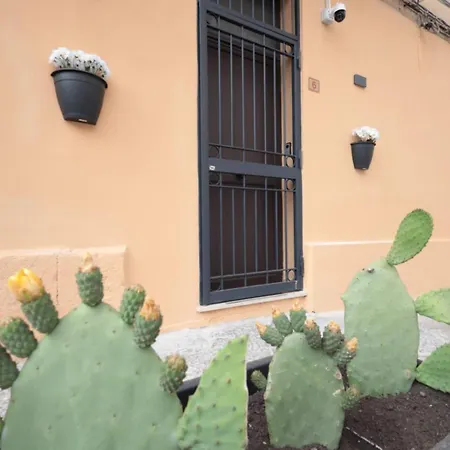 Gianbri パレルモ